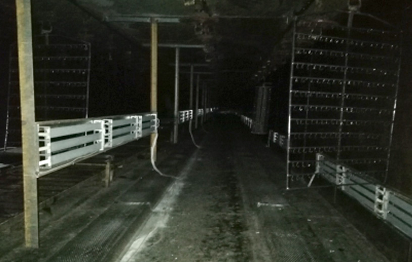 偉星股份（浙江臺州）石英管隧道爐改造